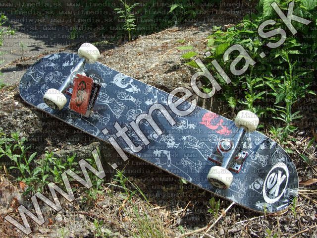 Image of Extreme SkateBoard Frenzy (IT4614)